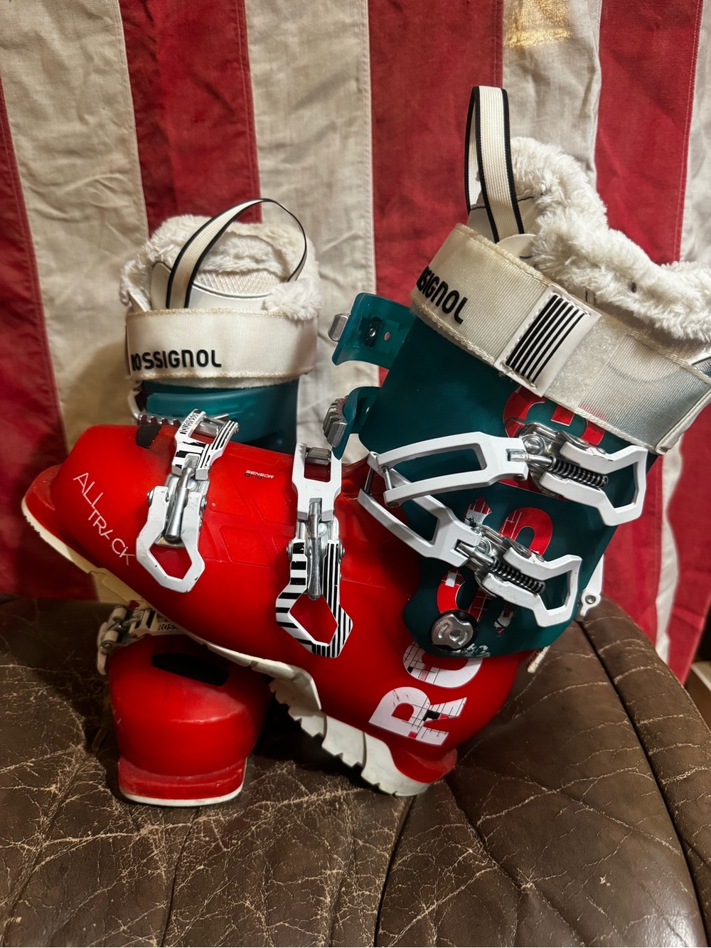 Rossignol Ski Boot Shell in Red and White